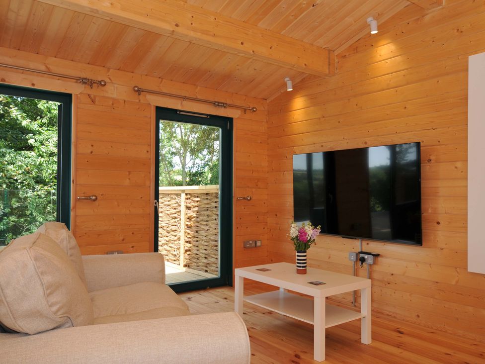 A living room with a sofa, television, and door at Owl Lodge in Menheniot