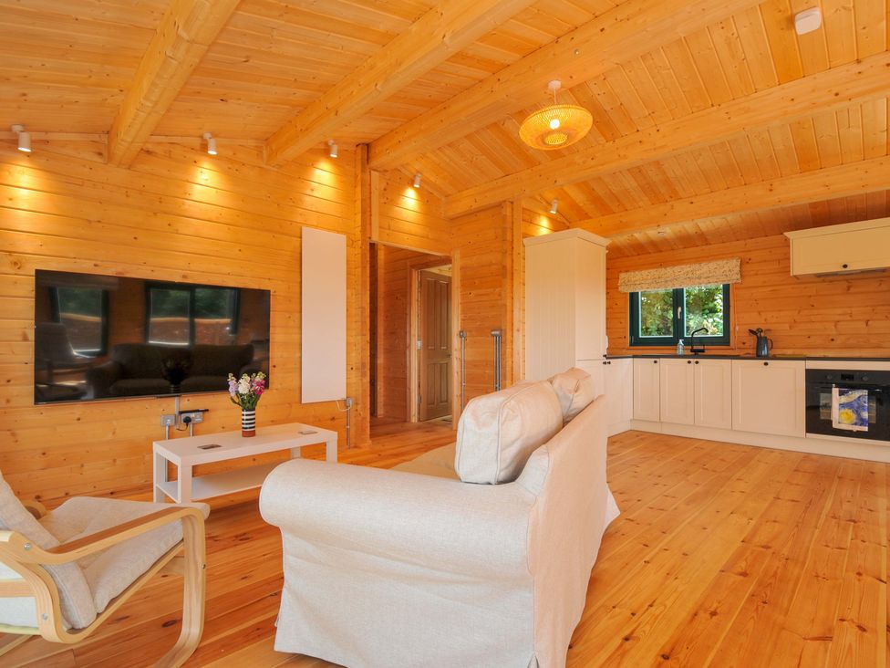 A living room with a sofa and television at Owl Lodge in Menheniot