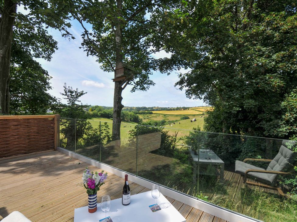 An outdoor deck area with a view of fields and a wine bottle at Owl Lodge in Menheniot