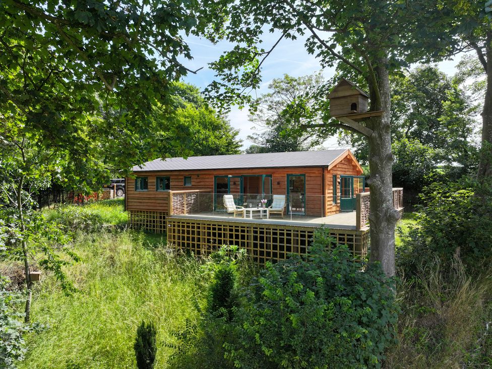 A wooden house with a deck surrounded by trees at Owl Lodge in Menheniot