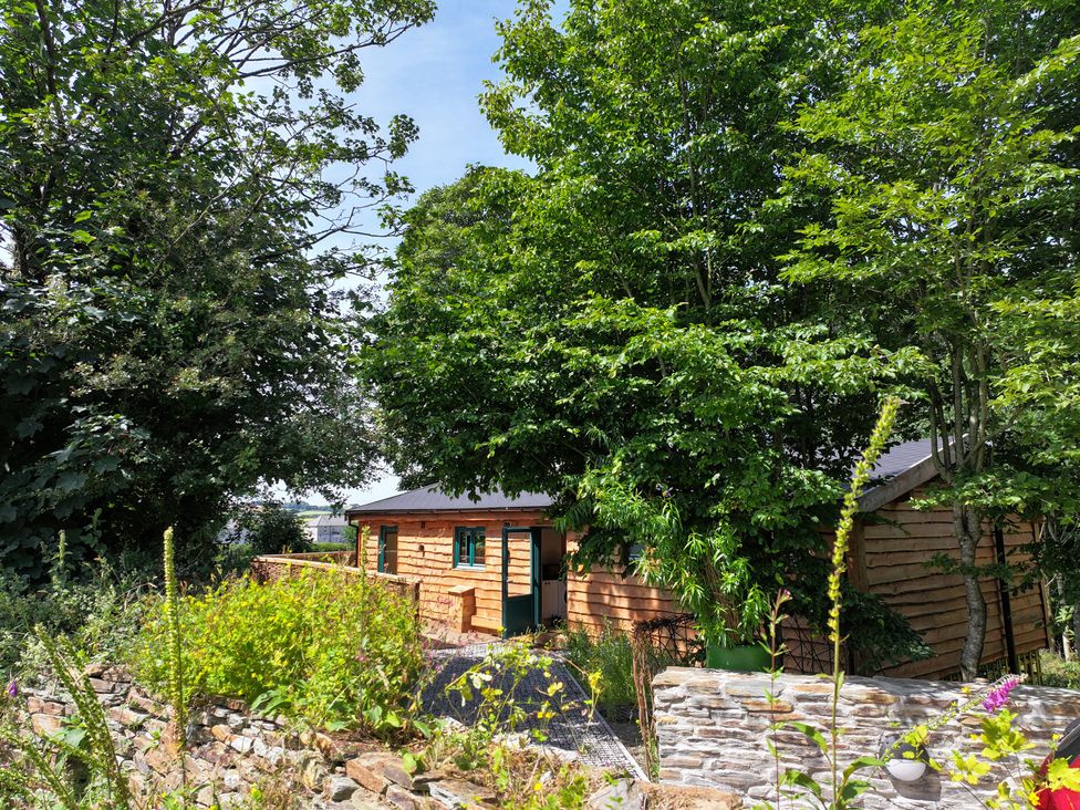 A wooden cabin surrounded by trees and plants at Owl Lodge in Menheniot