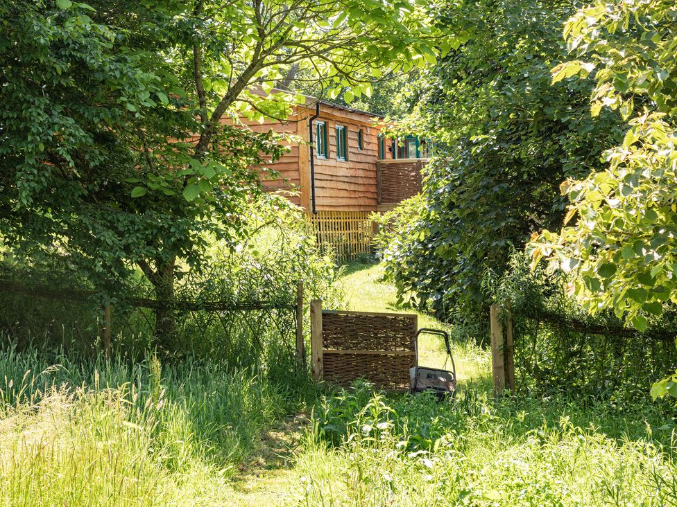 A garden with a wooden building and gate at Owl Lodge in Menheniot
