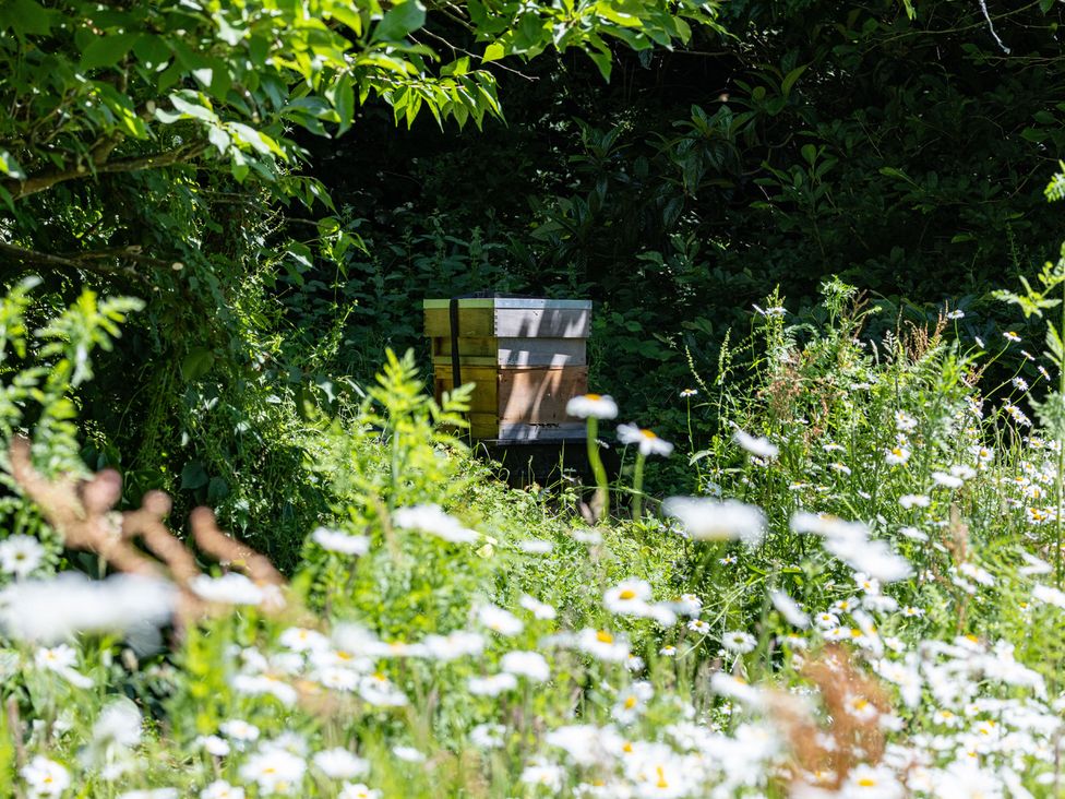 A beehive surrounded by wildflowers at Owl Lodge in Menheniot
