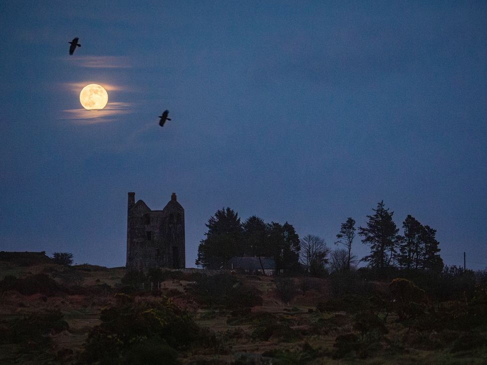 A tower under a full moon with trees and birds at Owl Lodge in Menheniot