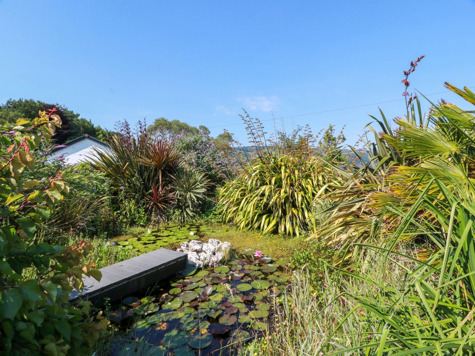 A garden with a pond and various plants at Altafearn in Tighnabruaich