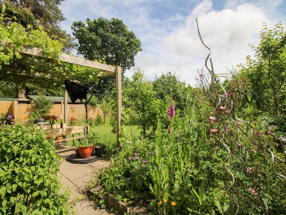 A garden with flower beds and a wooden pergola at Plum Hill in Morda, near Oswestry