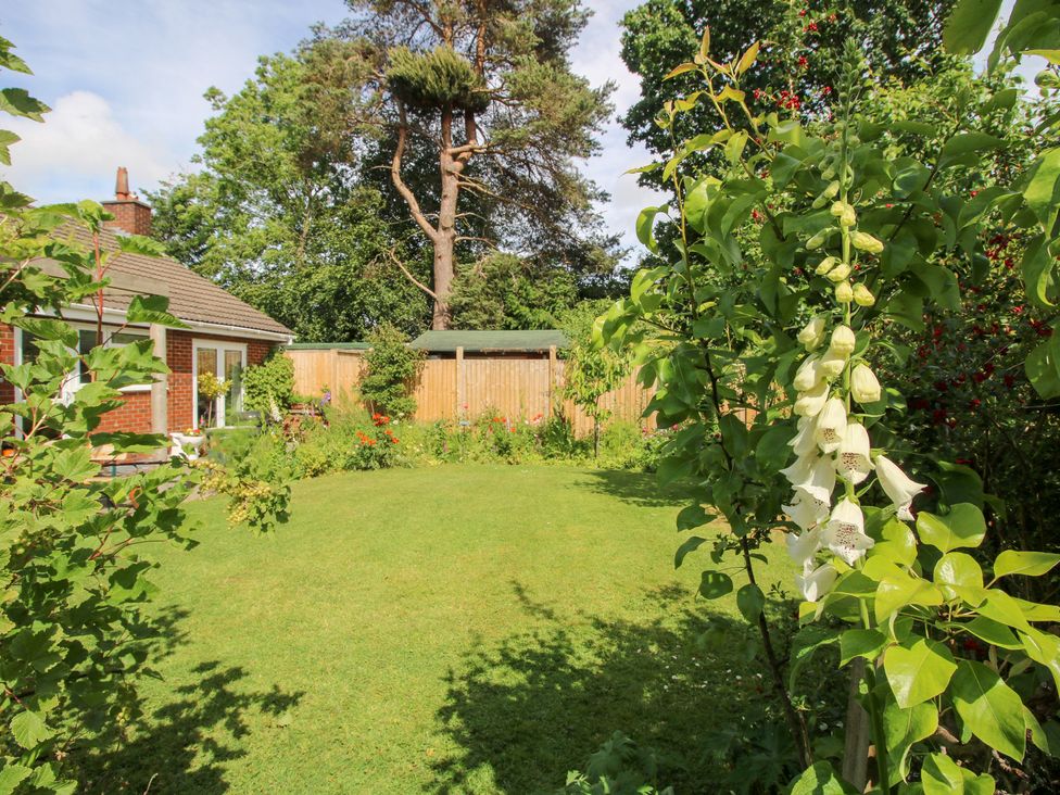 Plum Hill - Shropshire - 1151783 - thumbnail photo 41