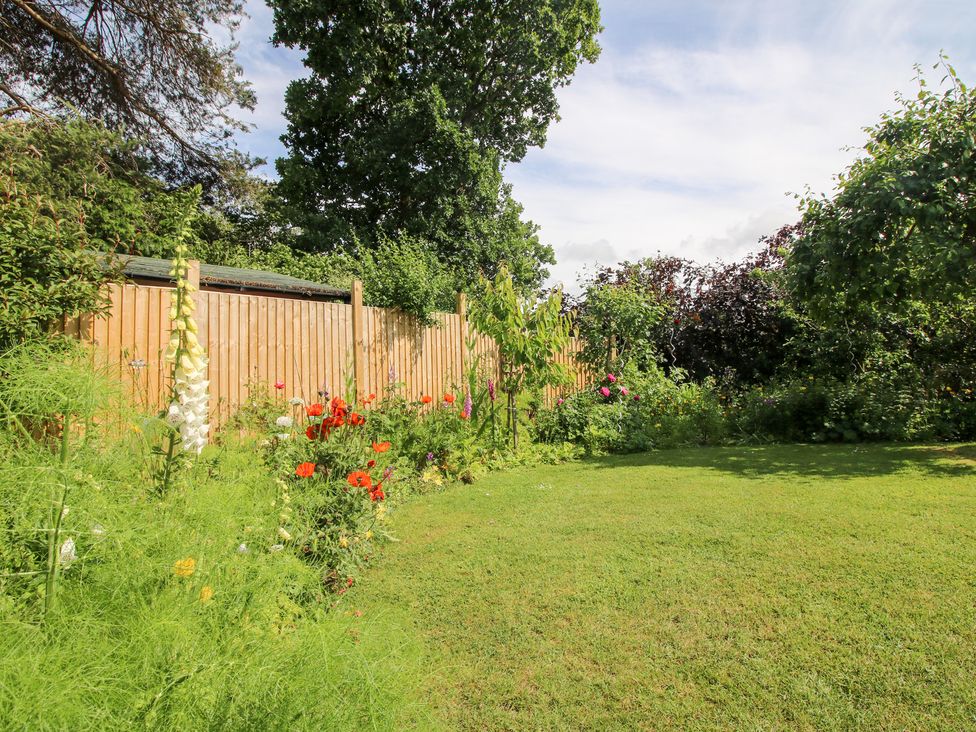 A garden with plants and grass at Plum Hill in Morda, near Oswestry