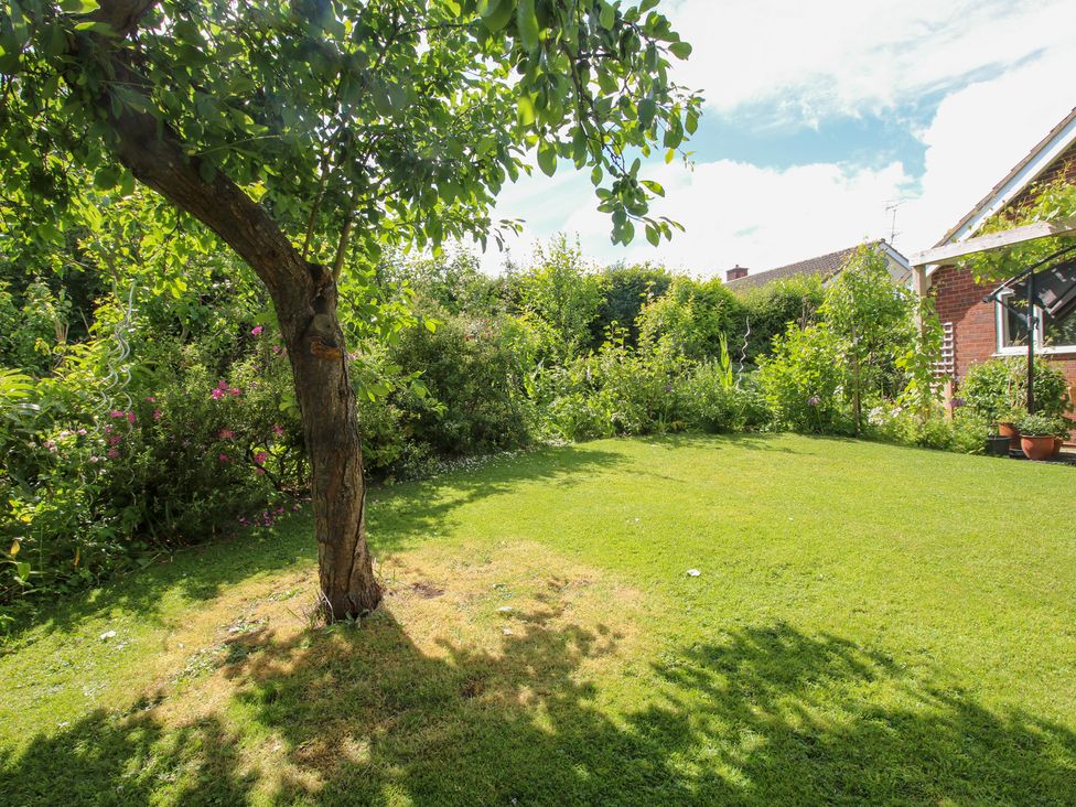 A garden with a tree and flowering plants at Plum Hill in Morda, near Oswestry