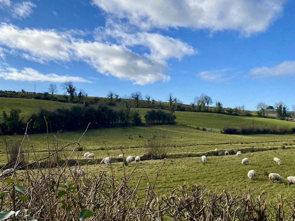 A field with sheep grazing at Betty's Farm Cottage, Lack near Ederney, County Fermanagh