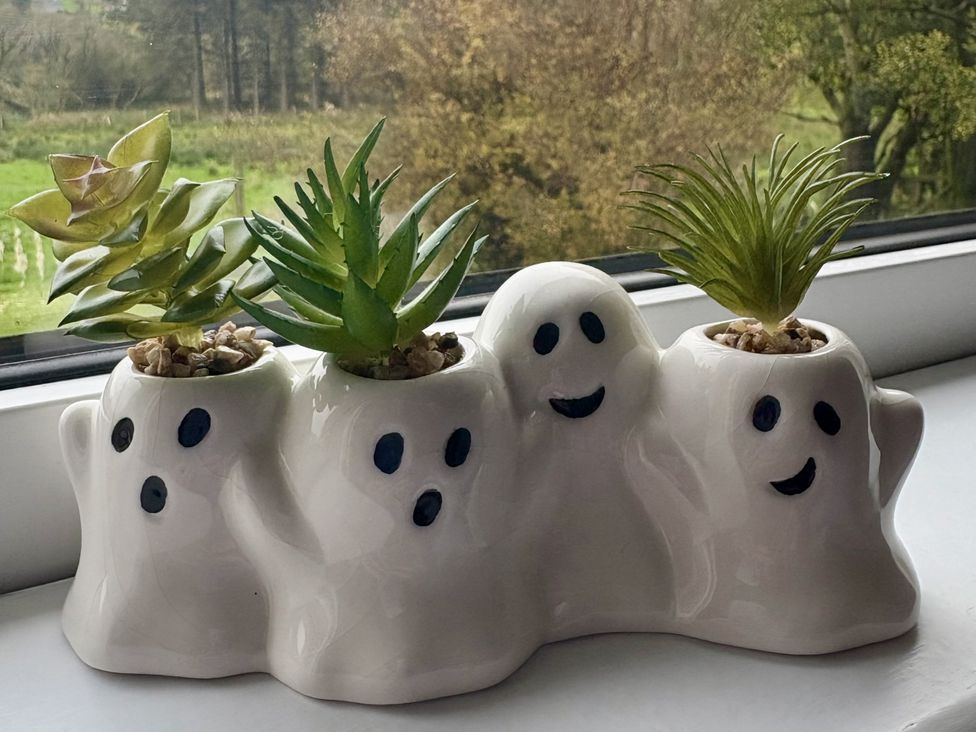 A ghost-shaped plant pot with succulents on a window sill at Betty's Farm Cottage in Lack near Ederney, County Fermanagh