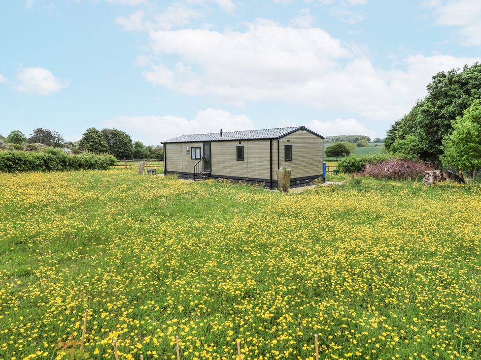 A field of yellow flowers with a small rectangular building and trees in the background at The Hoot in Great Finborough near Stowmarket