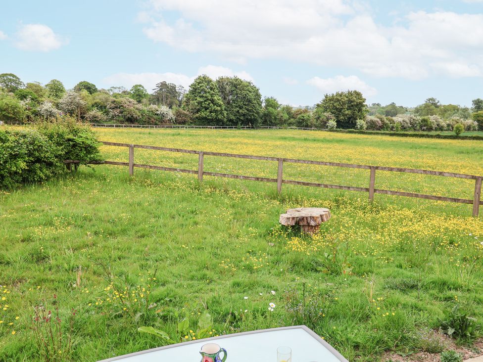 A grassy field with yellow flowers and a wooden fence with trees in the background at The Hoot in Great Finborough near Stowmarket