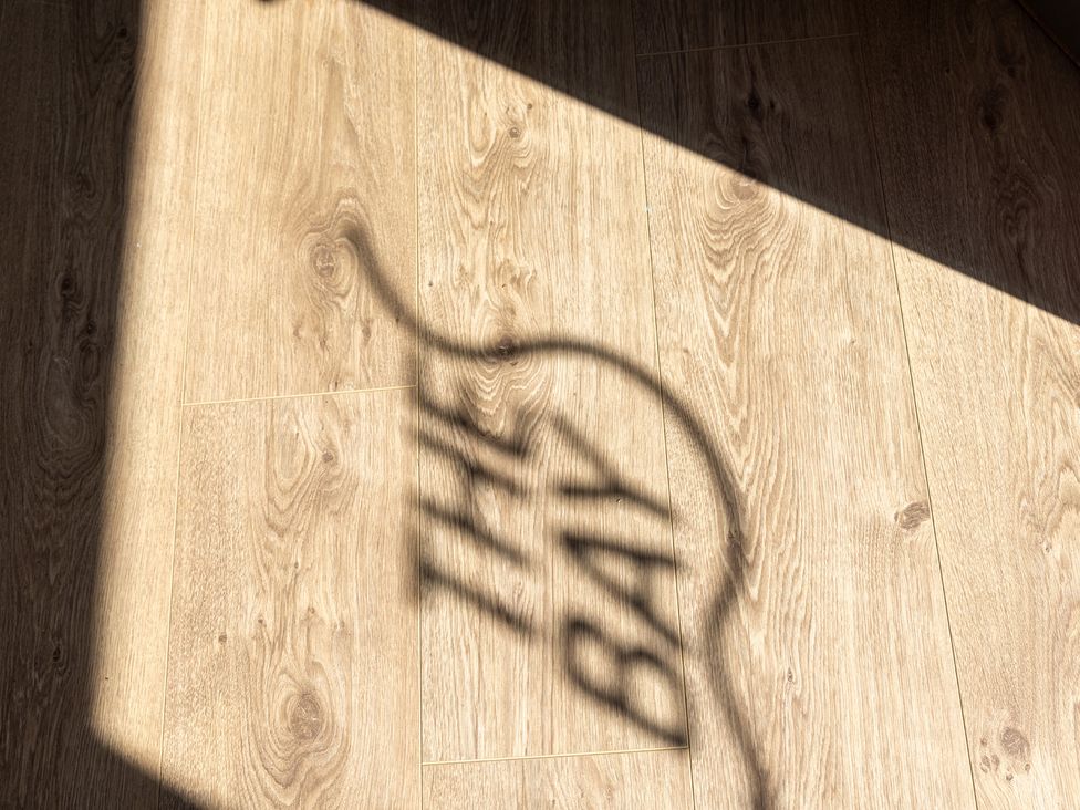 A shadow of text on a wooden floor at Lodge 65 at Riviera Bay Coastal Retreat Brixham