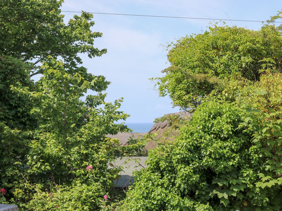 A view of the ocean framed by trees and bushes at Joe’s Barn in Mullion