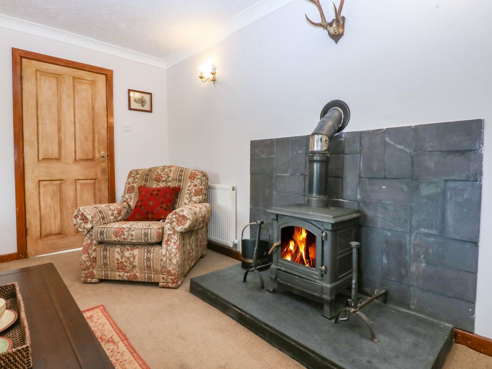 A living room with a fireplace and armchair at Tir Mawr in Llanfairpwllgwyngyll