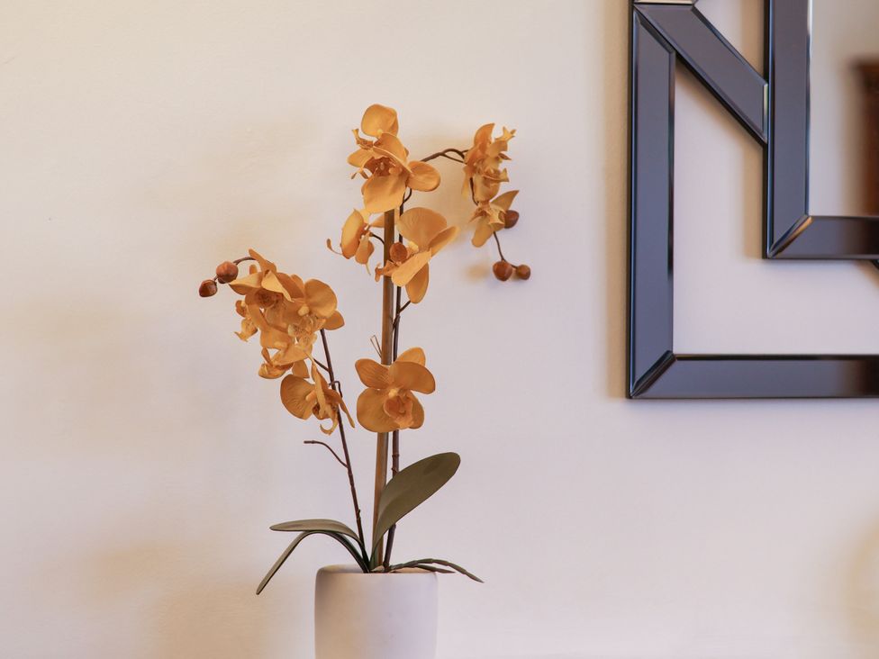 An ornamental plant in a vase against a wall at Castelian in Flamborough