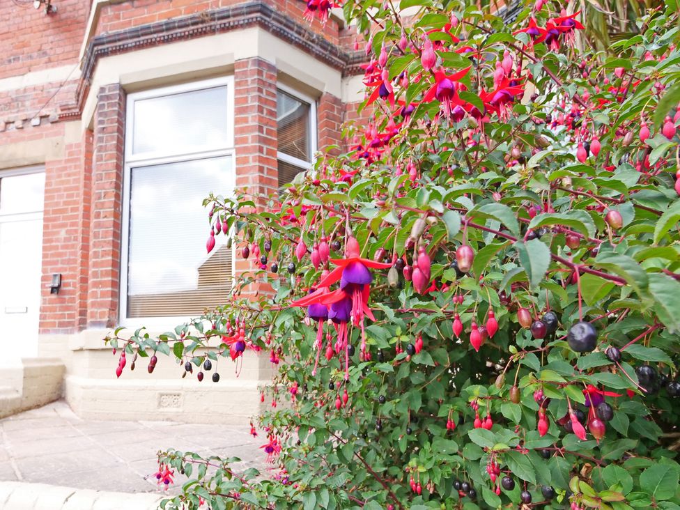 A house exterior with a fuchsia plant at Ashville Grange in Scarborough