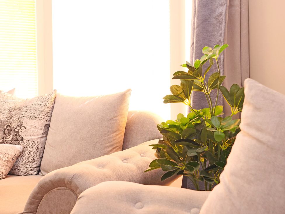 A living room with a sofa and plant at Ashville Grange in Scarborough