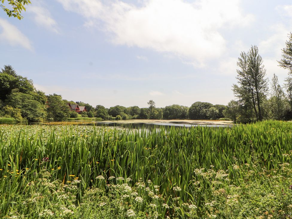 A pond surrounded by grass and trees at Thistle Dubh ('Doo') in Sandyhills