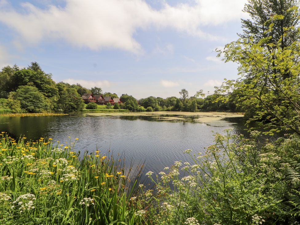 A pond surrounded by trees and flowers at Thistle Dubh (