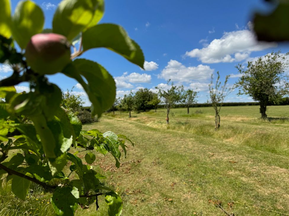 The Farmhouse - Suffolk & Essex - 1152471 - thumbnail photo 36