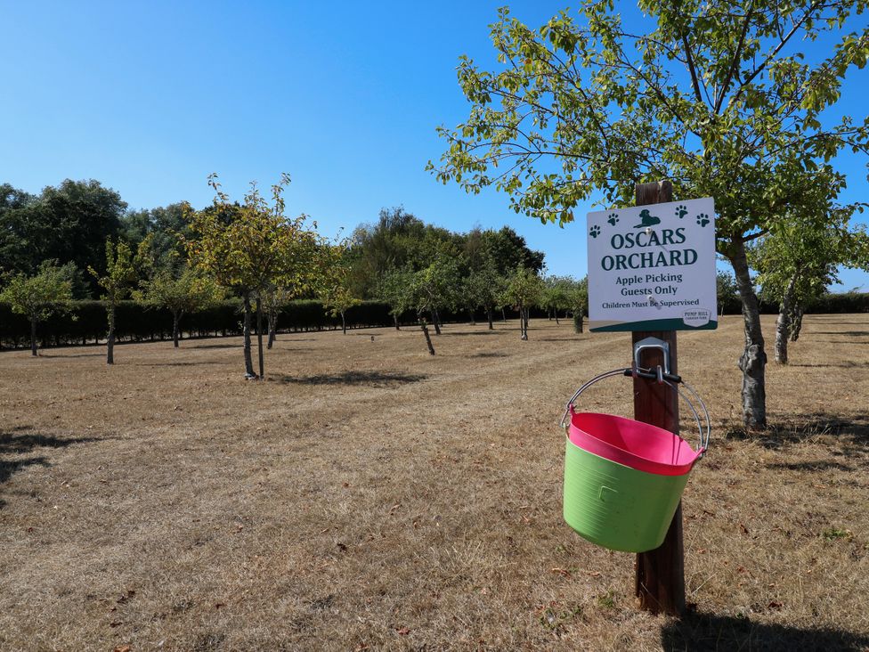 An orchard sign with apple trees and a bucket at Oscars Orchard in St. Osyth