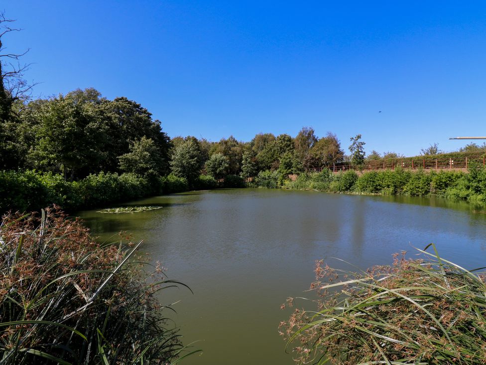 A pond surrounded by trees at The Farmhouse in St. Osyth