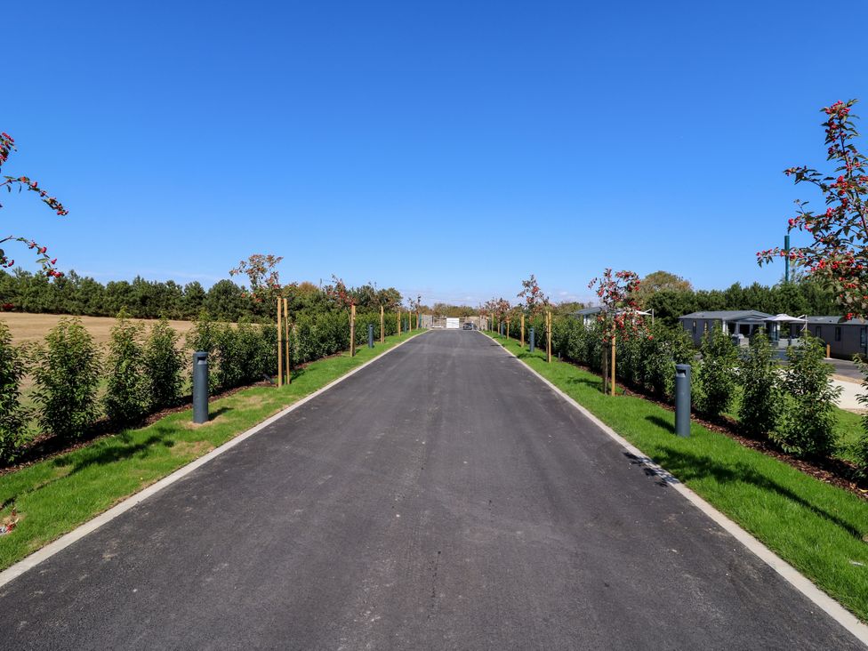 A road lined with trees and greenery at The Farmhouse in St. Osyth