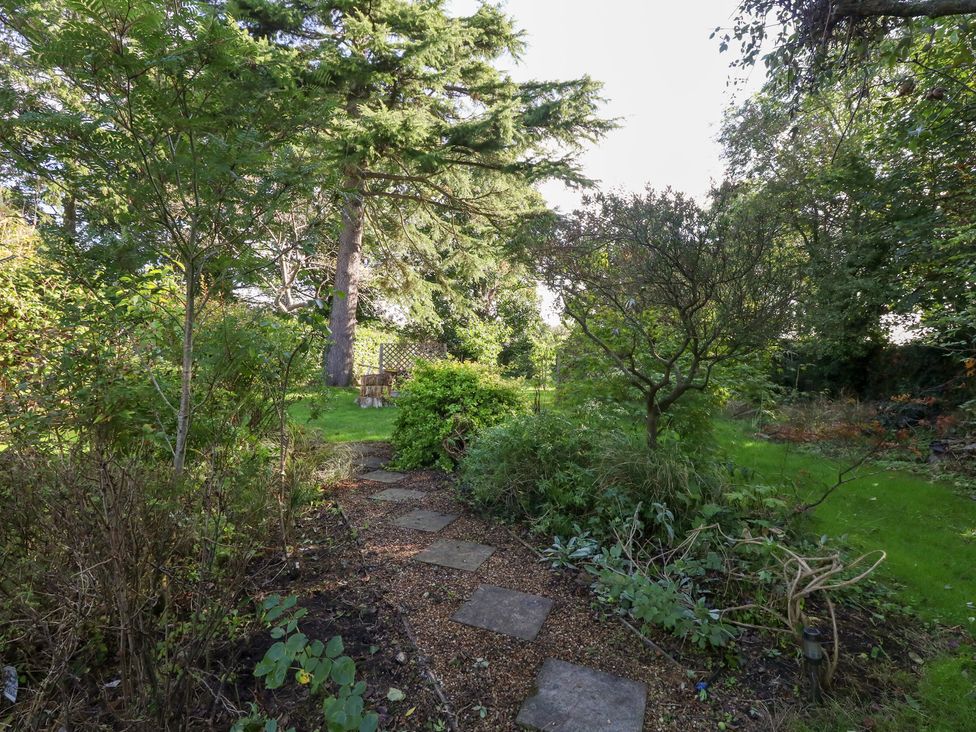 A garden with a pathway and trees at Little Timbers in Ringwood