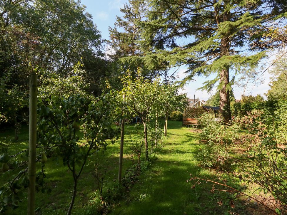 A garden with trees and grass at Little Timbers in Ringwood