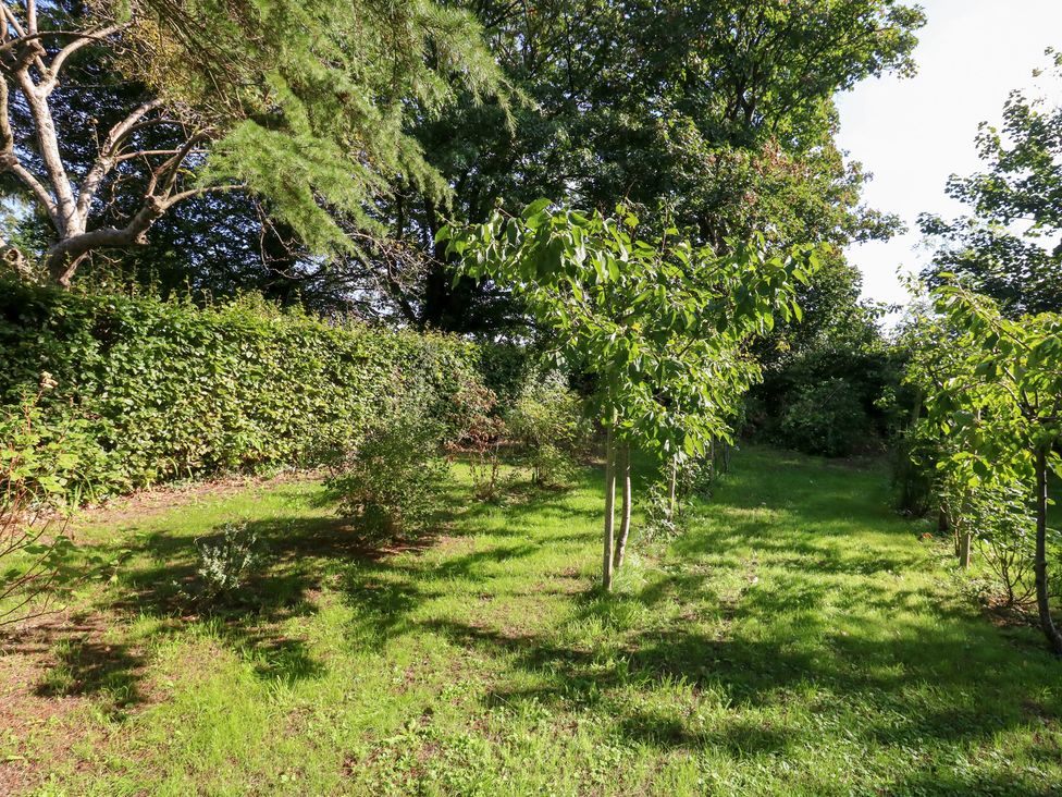 A garden with trees and grass at Little Timbers in Ringwood