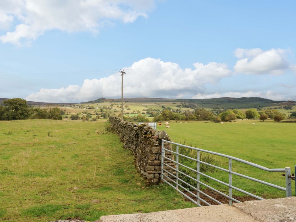 A view of a field with a stone wall and gate at Eastfield Farm in Barnard Castle