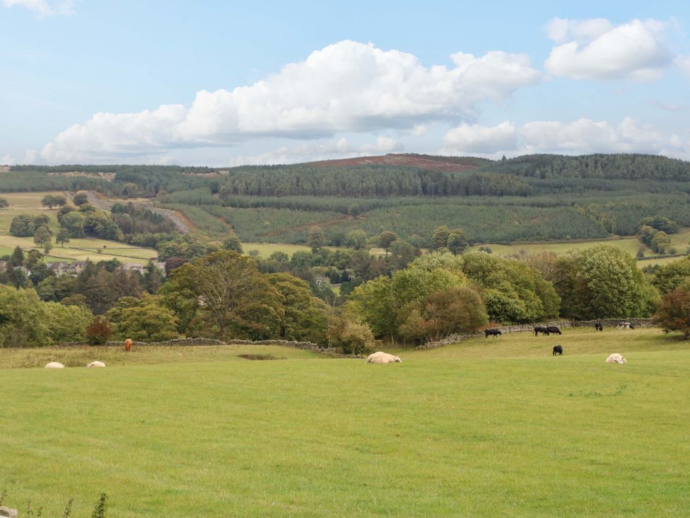 A view of cattle grazing in a field with hills and trees at Eastfield Farm in Barnard Castle