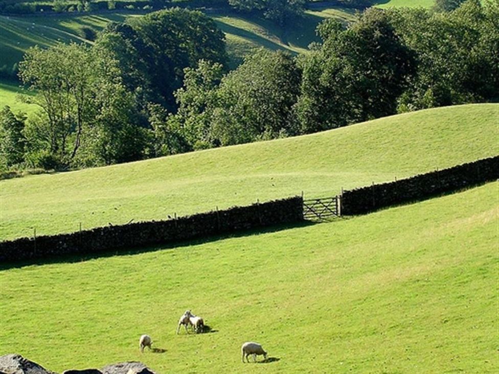 The Cosy Peacock - Lake District - 1152868 - thumbnail photo 22