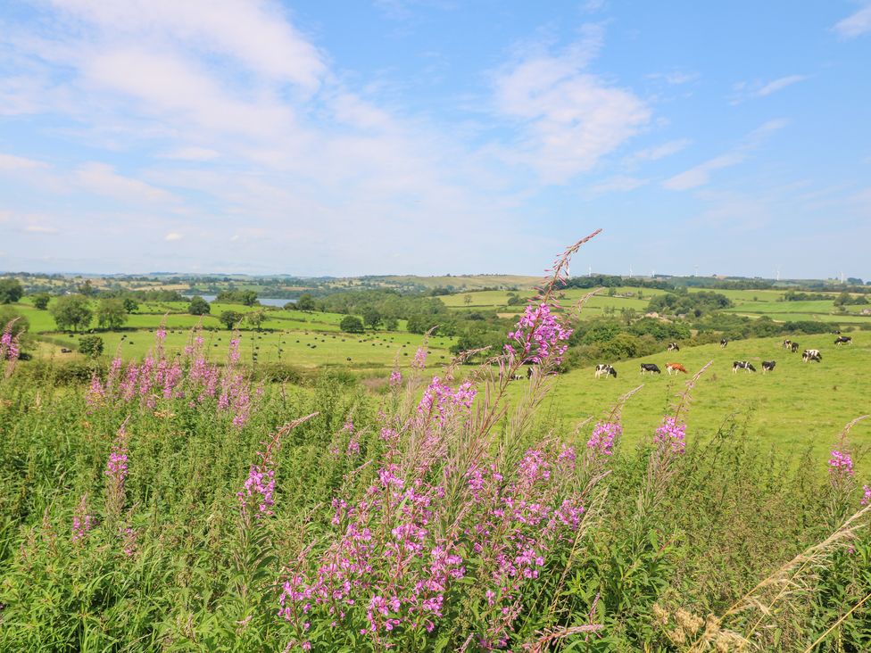 Rock Cottage - Peak District & Derbyshire - 1153043 - thumbnail photo 25