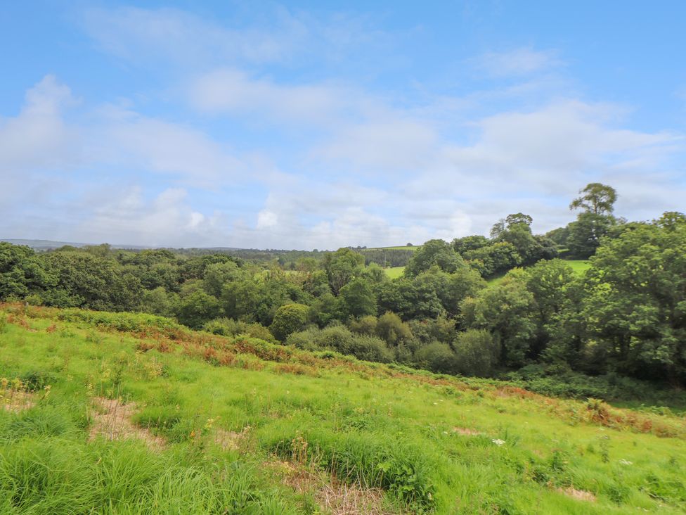 Skiber Long - Cornwall - 1153051 - thumbnail photo 38