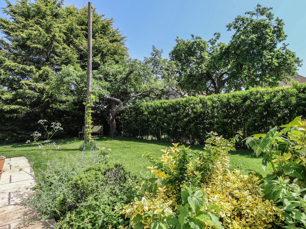 A garden with trees and plants at Low Grounds Cottage, Harome near Helmsley