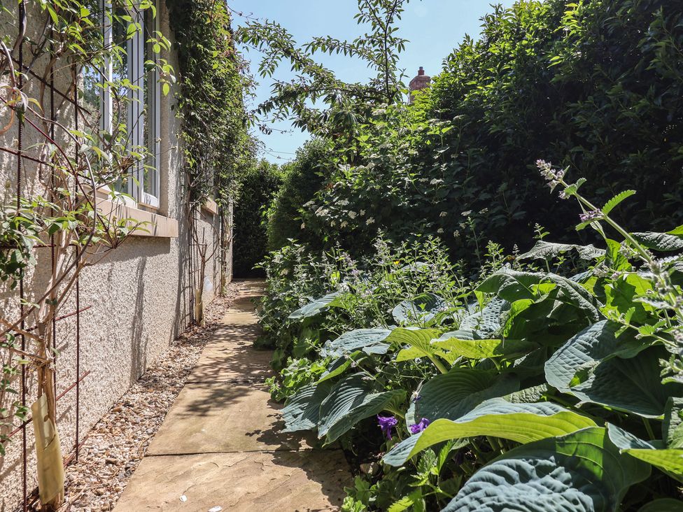 A pathway bordered by plants at Low Grounds Cottage in Harome near Helmsley