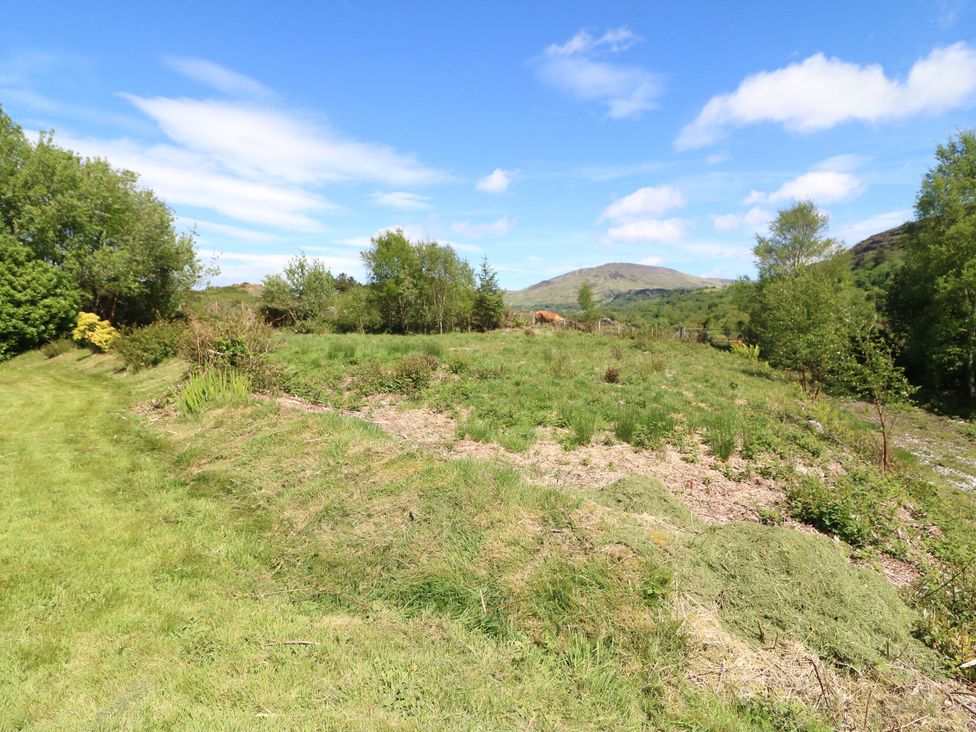An outdoor area with grass and trees at The Skating Rock in Bunane near Kenmare, County Kerry
