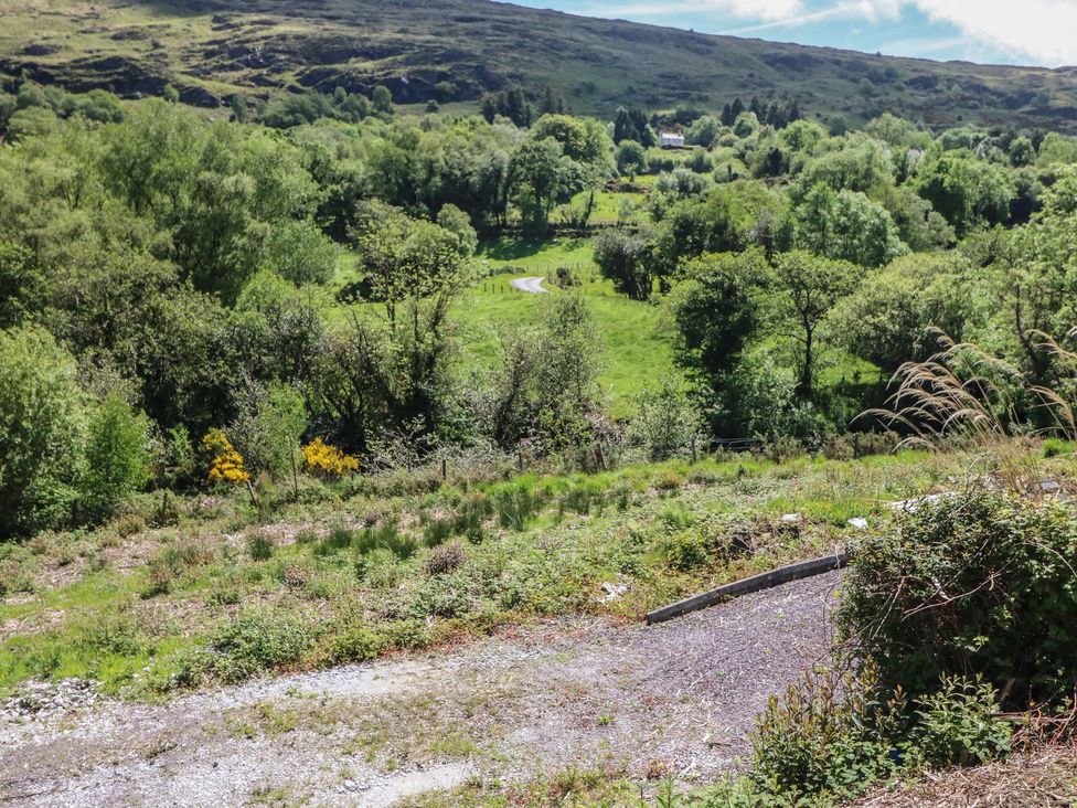 A hillside view with trees and a pathway at The Skating Rock in Bunane near Kenmare, County Kerry