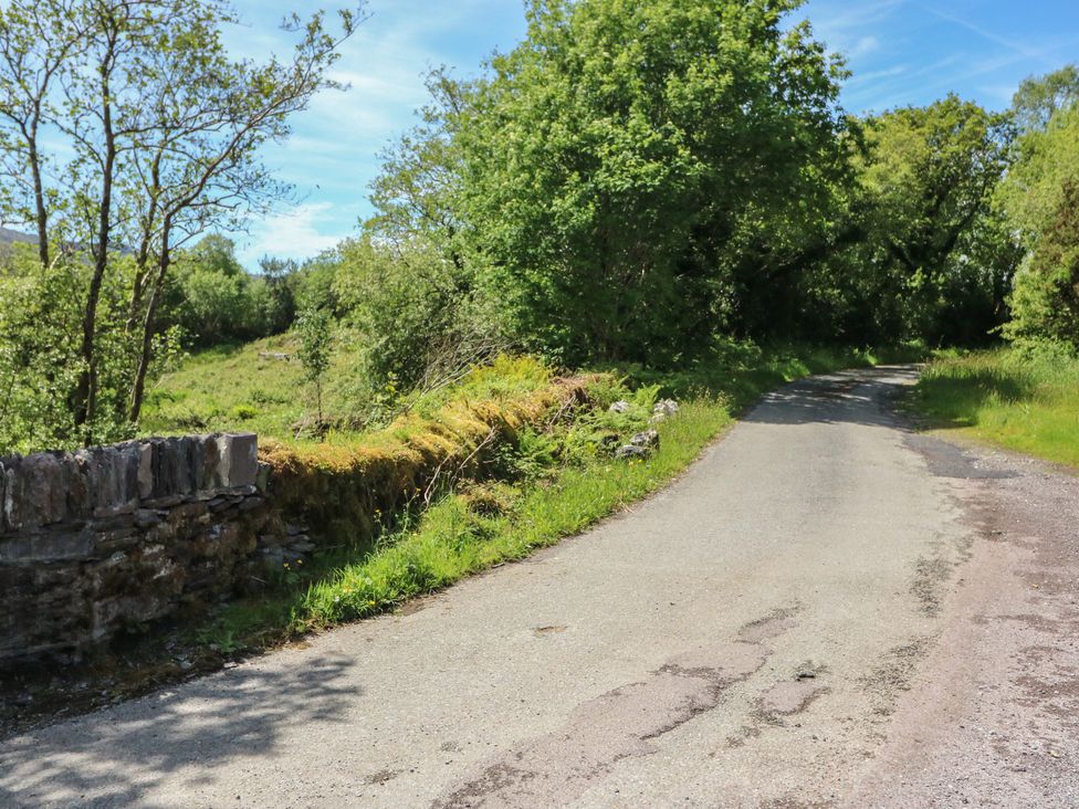 A road with trees and a stone wall at The Skating Rock in Bunane near Kenmare, County Kerry