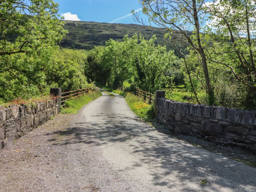 A road lined with trees and stone walls at The Skating Rock in Bunane near Kenmare, County Kerry