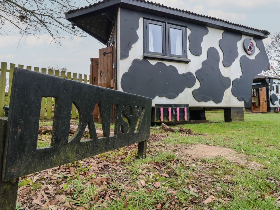 Daisy (Cow Shed 1) - Suffolk & Essex - 1153457 - thumbnail photo 2