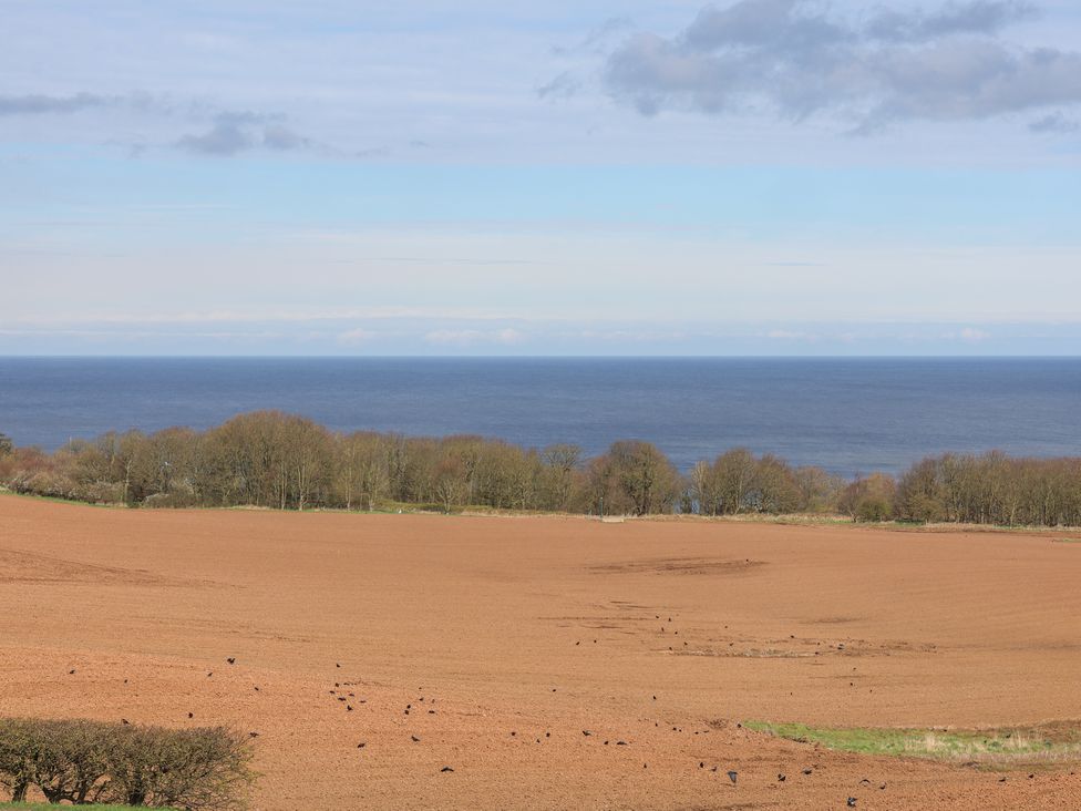 315 Filey Road - North Yorkshire (incl. Whitby) - 1153748 - thumbnail photo 47