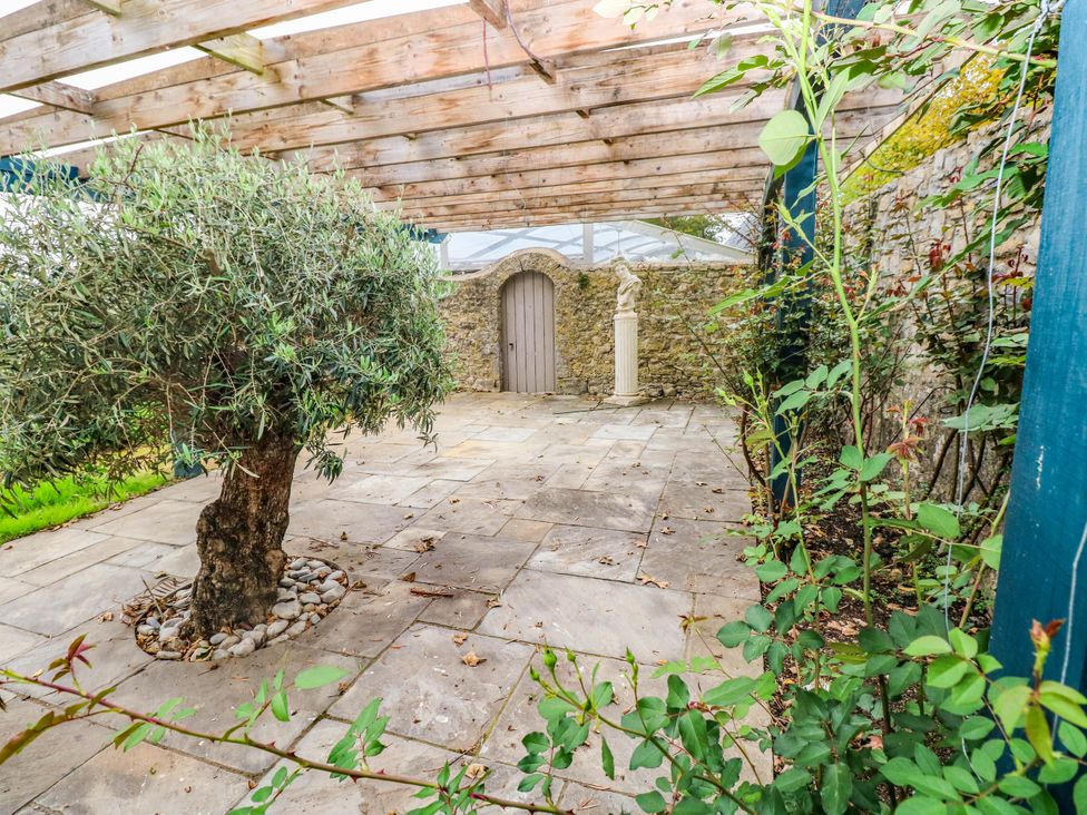 An outdoor area with an olive tree and stone paving at The Apple Store at Gileston Manor Gileston near St Athan