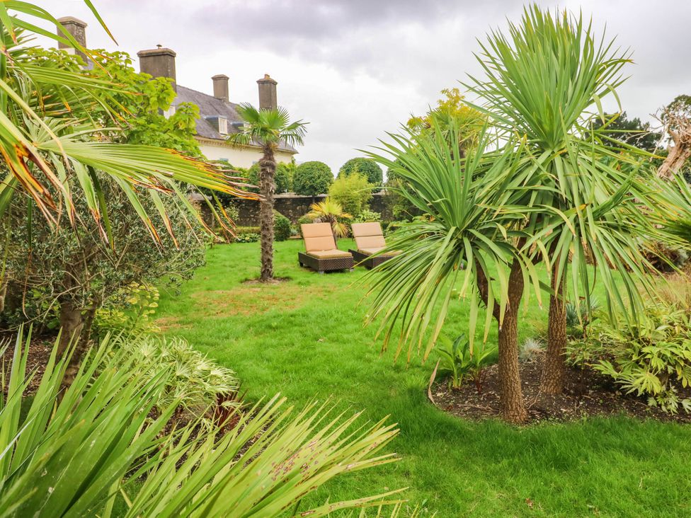 A garden with palm trees and deck chairs at The Apple Store at Gileston Manor in Gileston near St Athan
