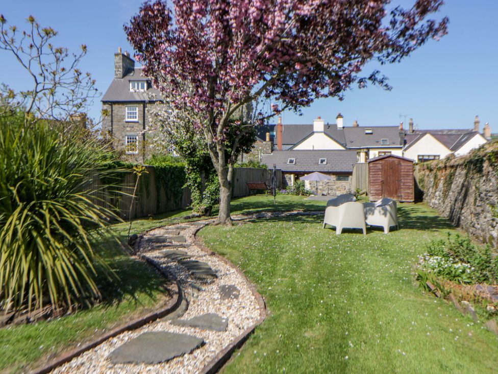 A garden with chairs and a tree at Parrog Stores in Parrog near Newport, Pembrokeshire