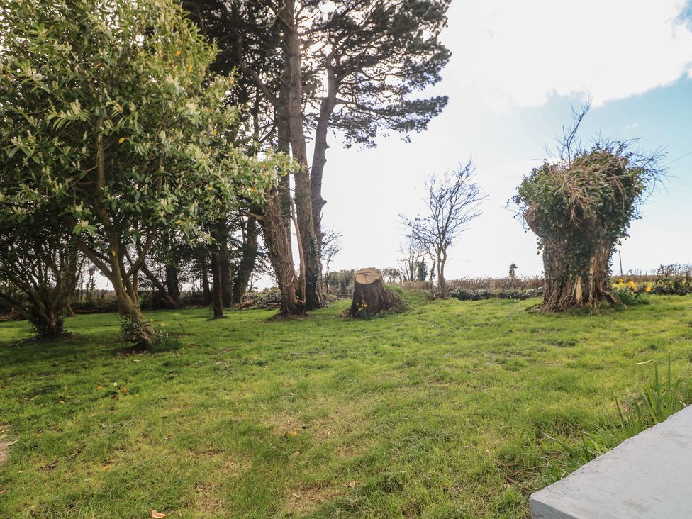 Curragh Cottage - County Wexford - 1154173 - thumbnail photo 15