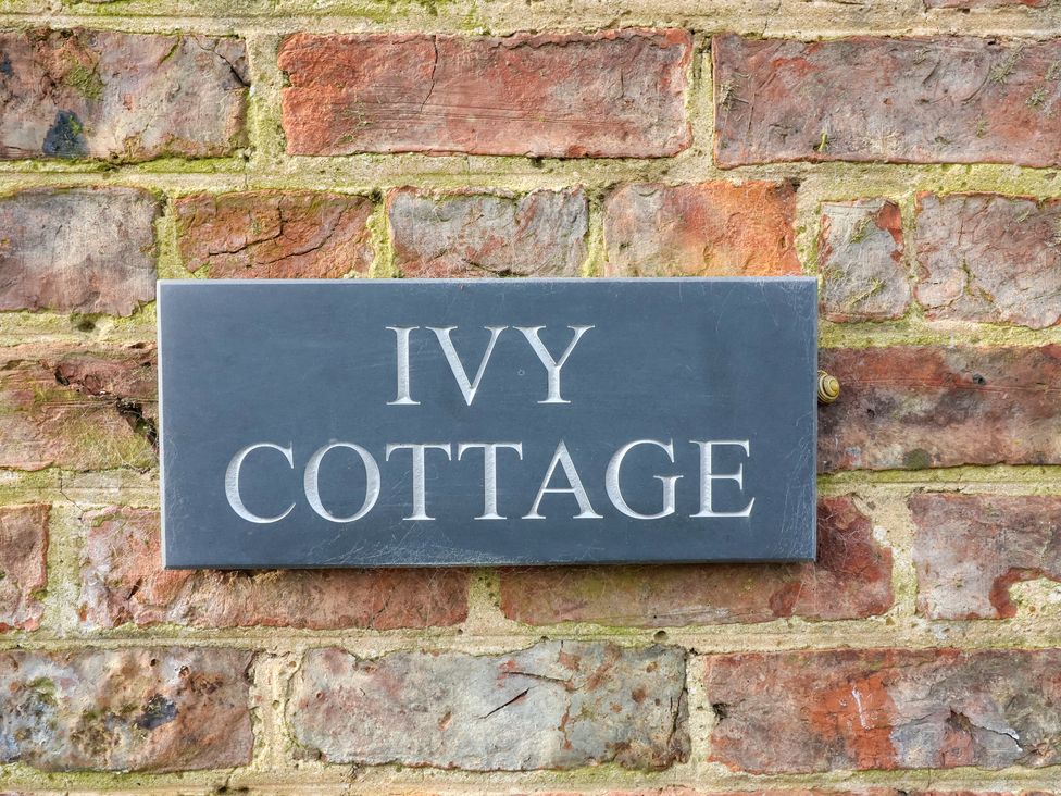 Ivy Cottage - North Yorkshire (incl. Whitby) - 1154285 - thumbnail photo 3